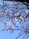 04-03-28_12-11.jpg