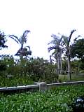 04-07-05_08-29.jpg