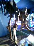 05-09-03_18-38.jpg
