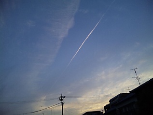 SBSH0396.JPG