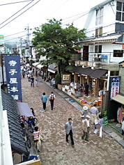 SBSH0069.JPG