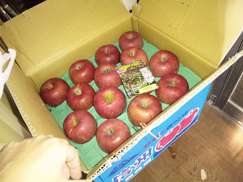 Ĺ��Τ��, farm3.static.flickr.com_4139944254_400d8a6872.jpg