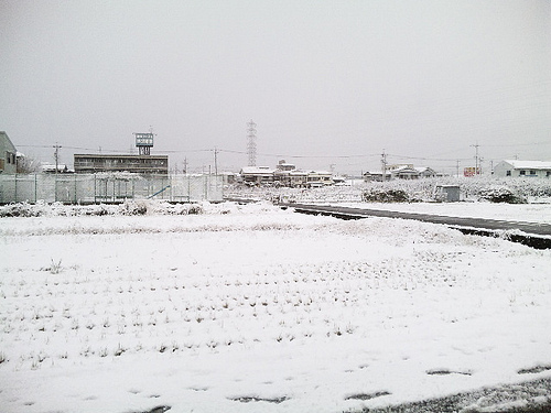 ��Ǥ�, farm3.static.flickr.com_4195454041_f90294f827.jpg