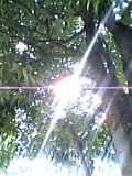04-02-28_13-50.jpg